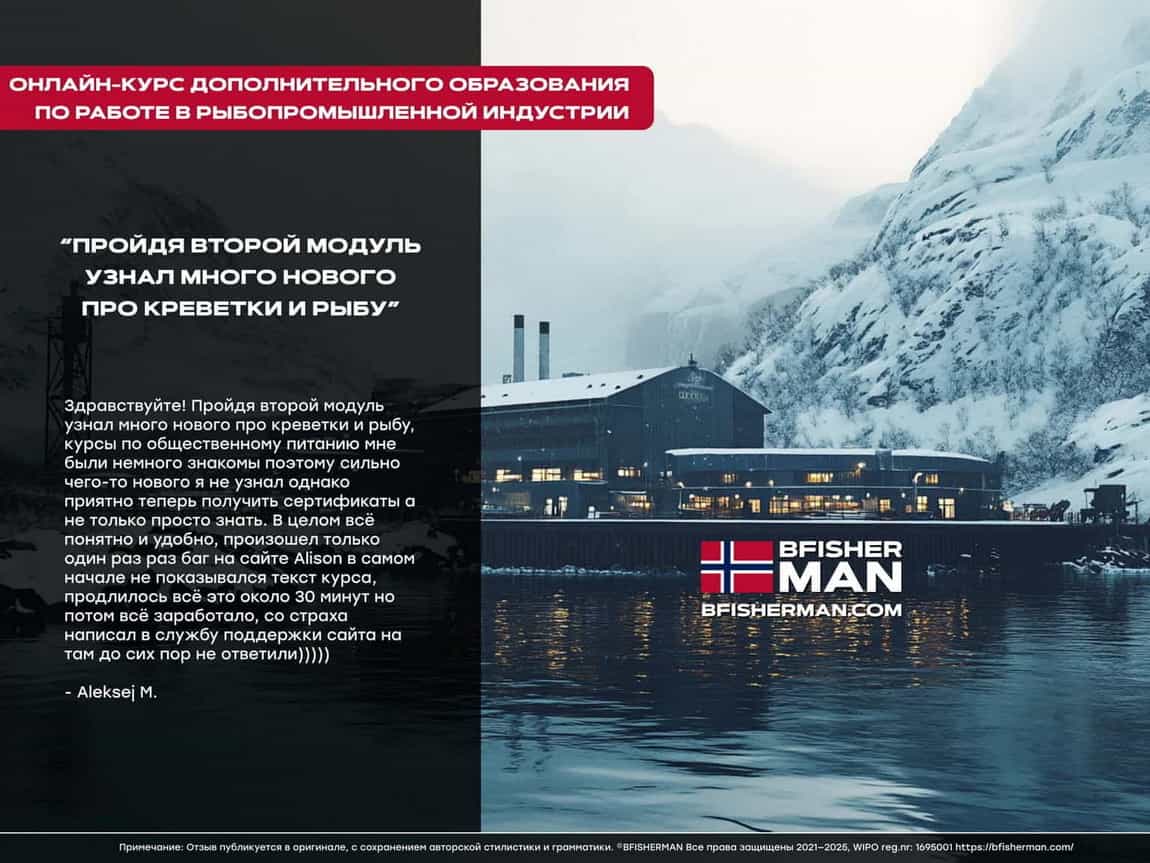 BFISHERMAN ОТЗЫВЫ