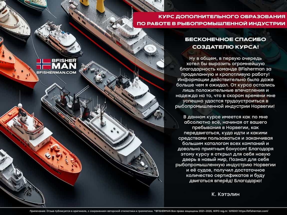 BFISHERMAN ОТЗЫВЫ