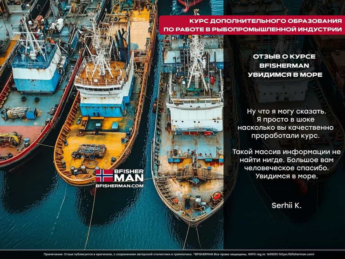 BFISHERMAN ОТЗЫВЫ